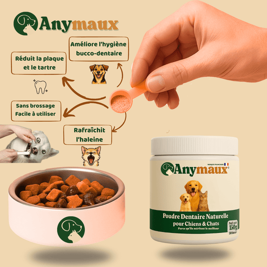 Routine santé simple pour chien & chat – Une pincée par jour suffit - Anymaux