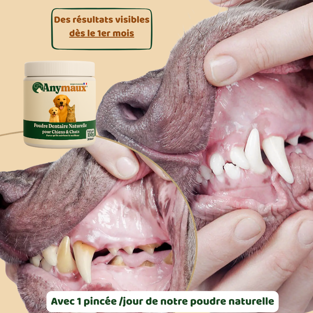 Poudre Dentaire Chiens & Chats