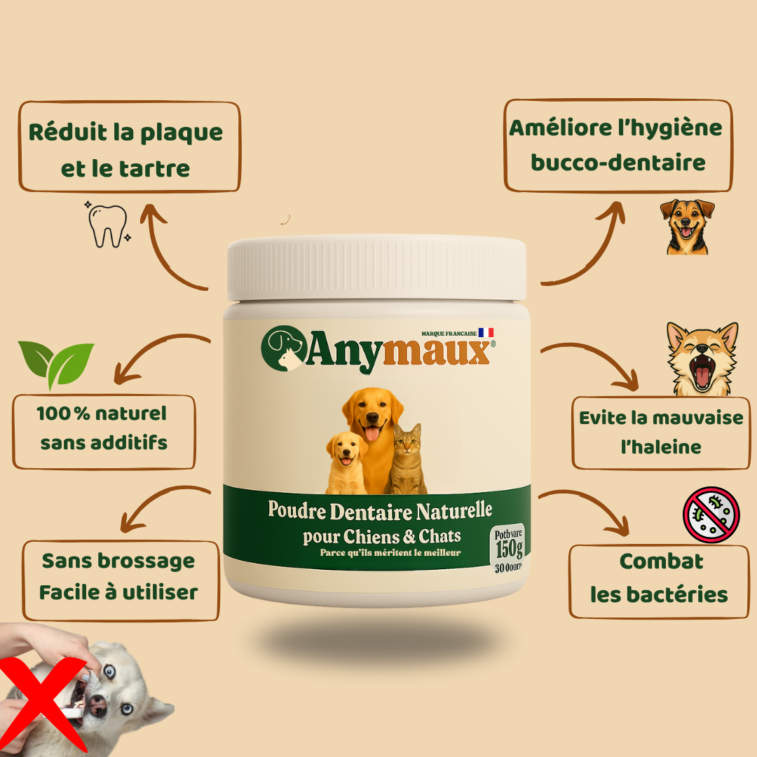 Poudre Dentaire Chiens & Chats