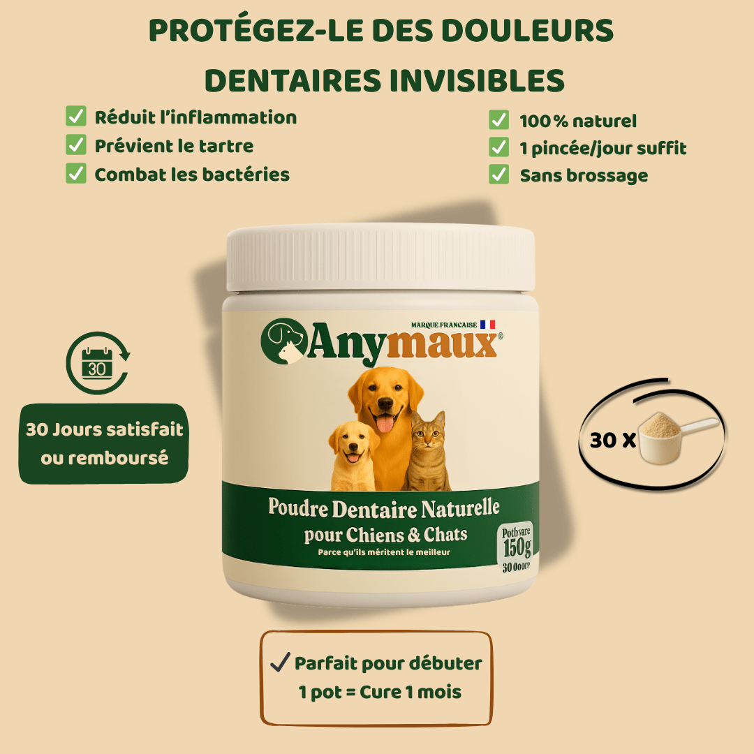 Poudre Dentaire Chiens & Chats – pack Poudre Dentaire Chiens & Chats par Anymaux