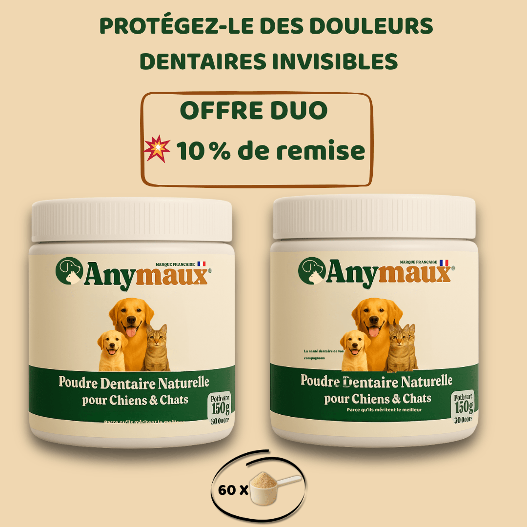 Poudre Dentaire Chiens & Chats – pack Poudre Dentaire Chiens & Chats par Anymaux