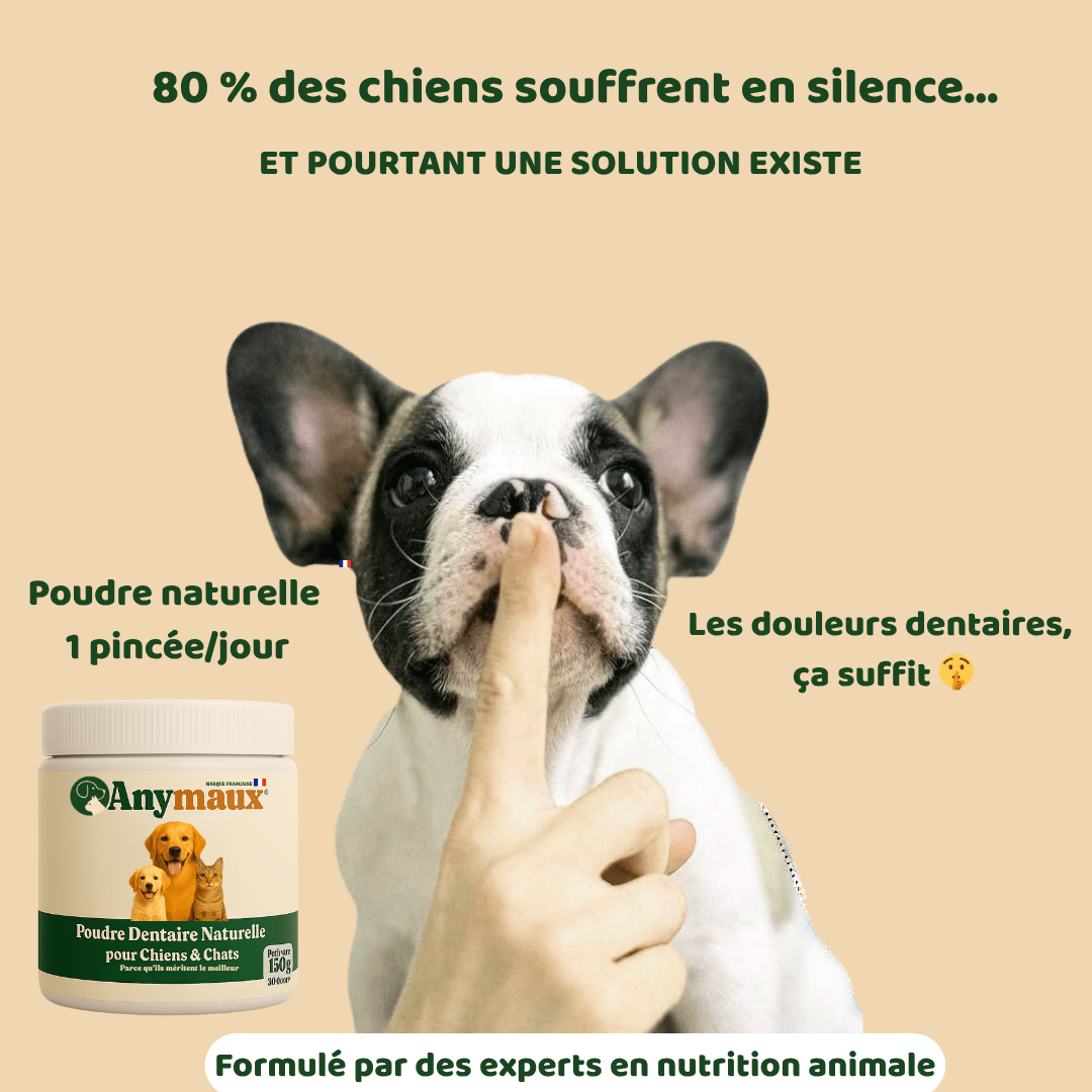 Poudre Dentaire Chiens & Chats – pack Poudre Dentaire Chiens & Chats par Anymaux