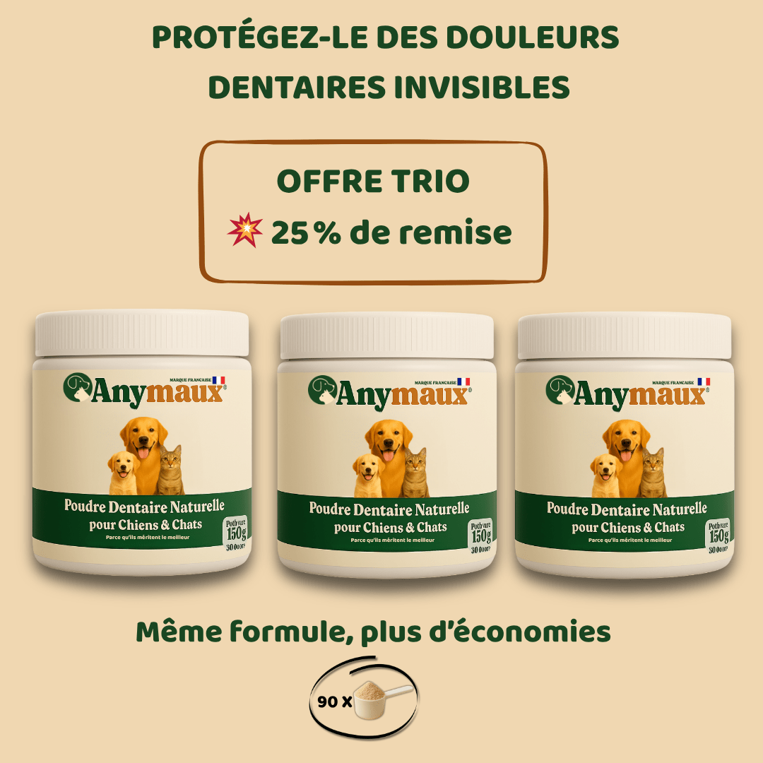 Poudre Dentaire Chiens & Chats – pack Poudre Dentaire Chiens & Chats par Anymaux