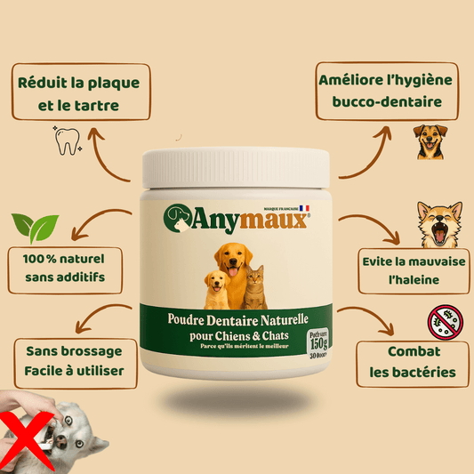 🌿 Poudre dentaire naturelle – Comment choisir un produit efficace et sûr? - Anymaux