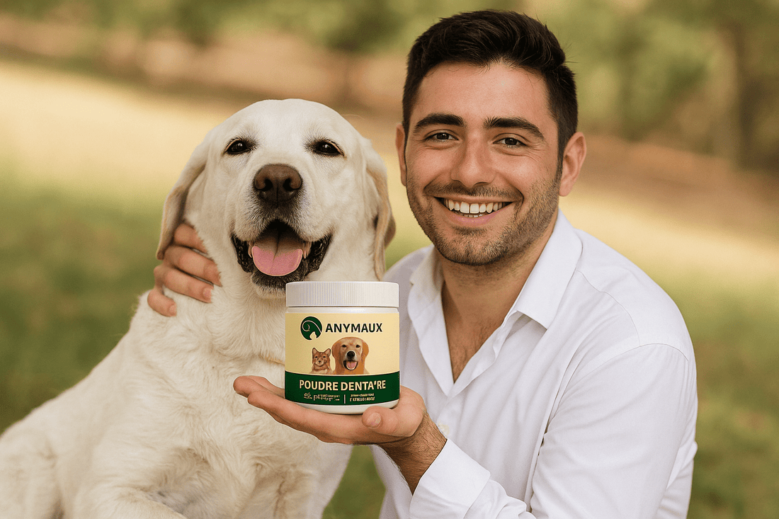 Hygiène dentaire chien & chat : pourquoi c’est vital pour leur santé? - Anymaux