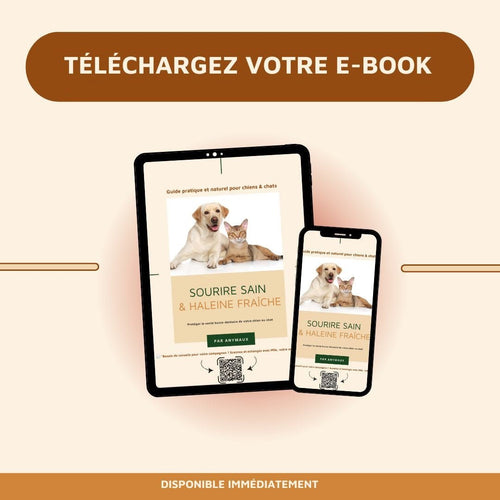 Guide Santé Dentaire (PDF) – pack Guide Santé Dentaire (PDF) eBook / Guide par Anymaux