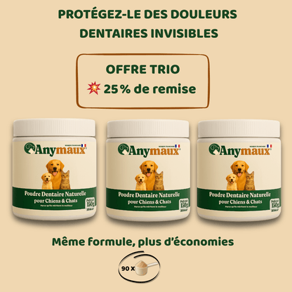Poudre Dentaire Chiens & Chats – pack Poudre Dentaire Chiens & Chats par Anymaux