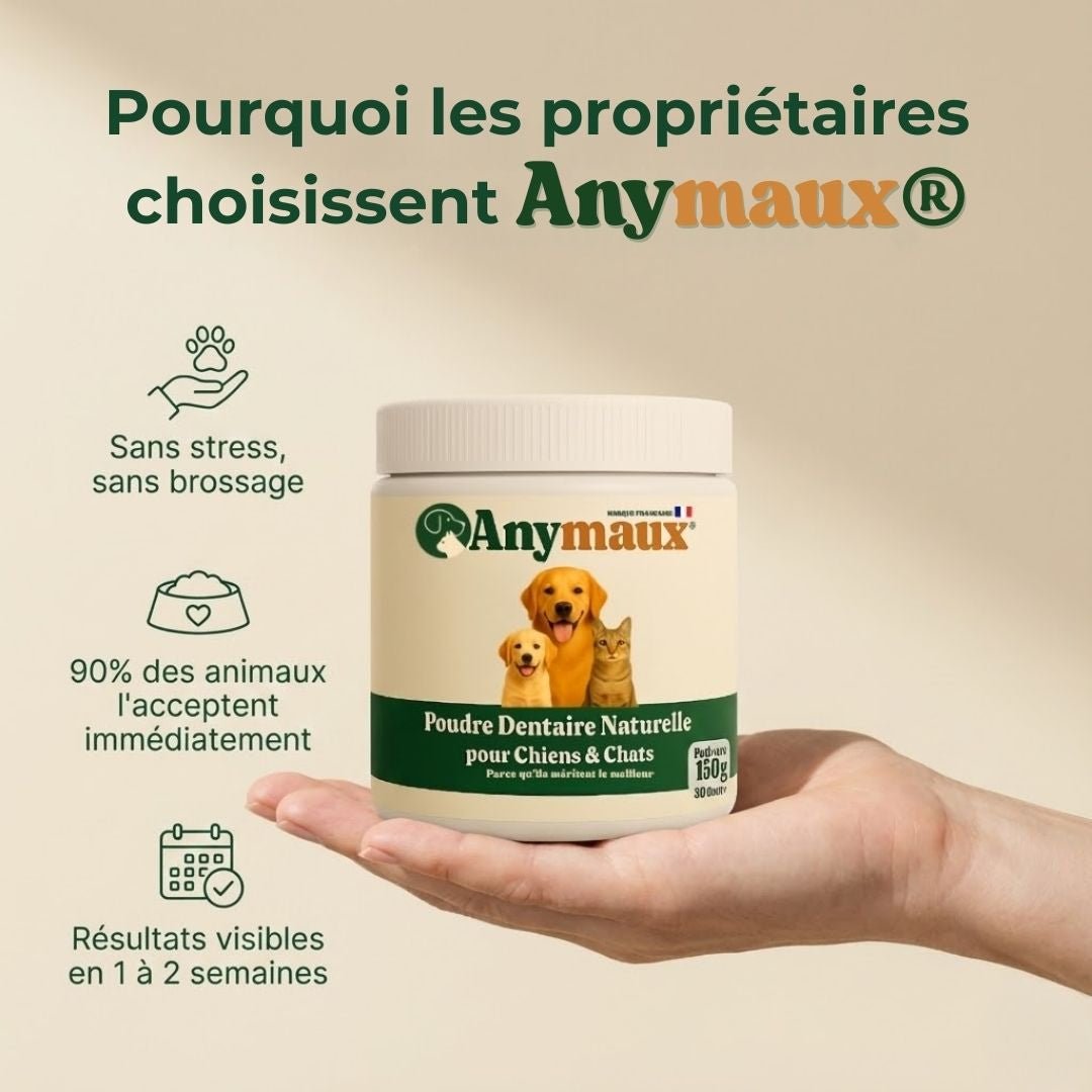 Poudre Dentaire Pour Chiens – pack Poudre Dentaire Pour Chiens par Anymaux