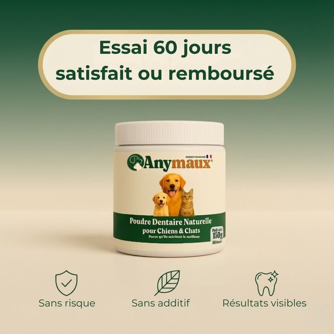 Poudre Dentaire Pour Chiens – pack Poudre Dentaire Pour Chiens par Anymaux