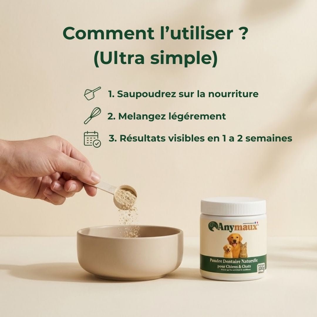 Poudre Dentaire Pour Chiens – pack Poudre Dentaire Pour Chiens par Anymaux