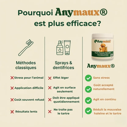 Poudre Dentaire Pour Chiens – pack Poudre Dentaire Pour Chiens par Anymaux