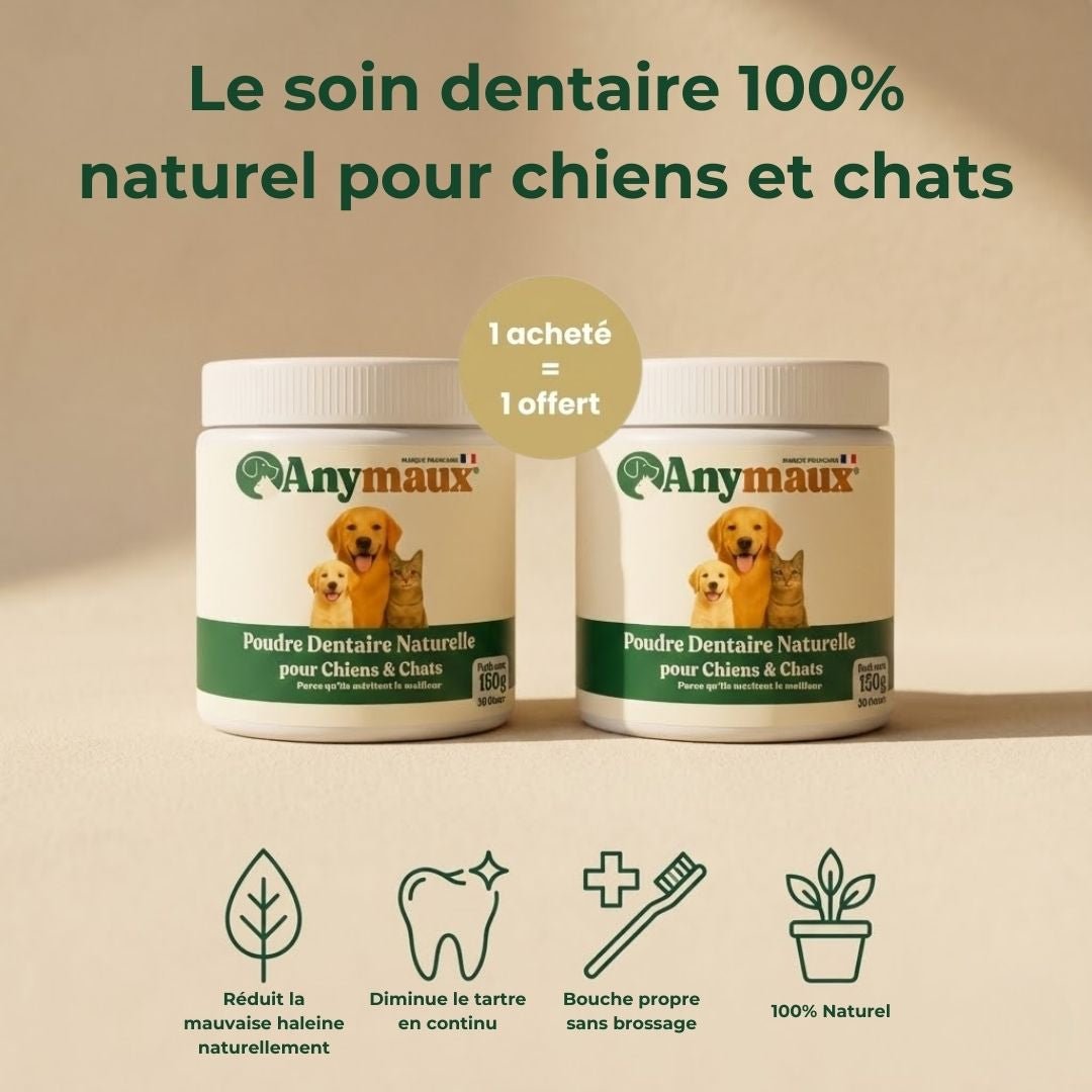 Poudre Dentaire Pour Chiens – pack Poudre Dentaire Pour Chiens par Anymaux