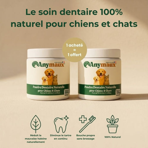 Poudre Dentaire Pour Chiens – pack Poudre Dentaire Pour Chiens par Anymaux